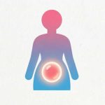 Free Fertility Ovulation Calculator